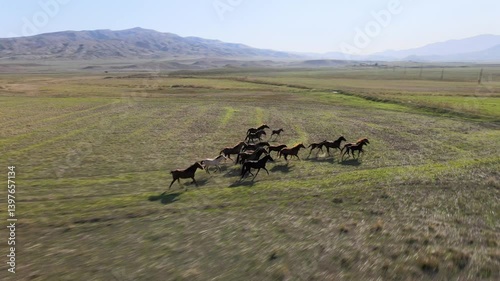 A group of horses runs freely through expansive fields in a picturesque rural setting. The breathtaking landscape features mountains and open green spaces under a clear sky