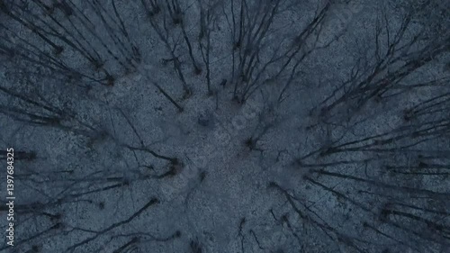 A drone maneuvers overhead, tracking a man as he navigates through a desolate forest during winter. Trees dominate the landscape, creating an eerie atmosphere