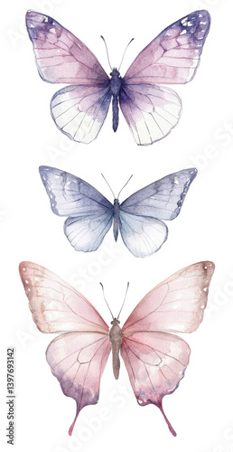 collection of butterflies isolated on white