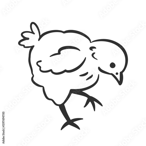 Cute Whimsical Chicken Farm Bird Hand Drawn Sketch