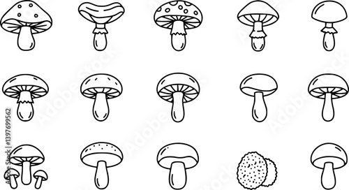 Forest mushroom line icon set. Chanterelle, champignon, shiitake, porcini, cep, truffle shiitake minimal vector illustration. Simple outline sign for edible fungus 30x30 Pixel Perfect Editable Stroke