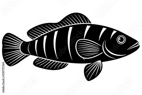 Clean and scalable fish vector illustration perfect for aquatic-themed designs, seafood branding, marine education materials, and creative digital projects. Easily editable and ideal for use in logos,