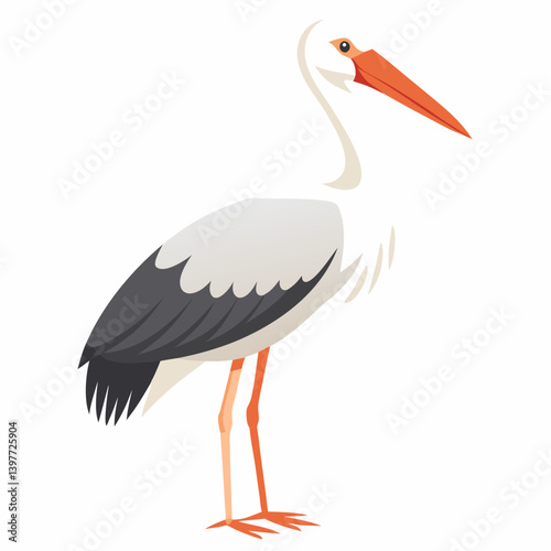 Stork isolated on white background