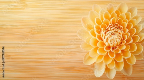 Flower wooden board weather. A delicate yellow flower rests on a textured wooden background, creating a serene and harmonious aesthetic.