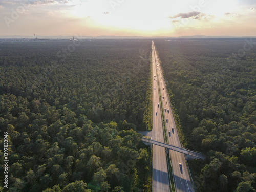 Aerial view of scenic autobahn surrounded by lush forest and trees at sunset, Mannheim, Baden Wuttermberg, Germany.
