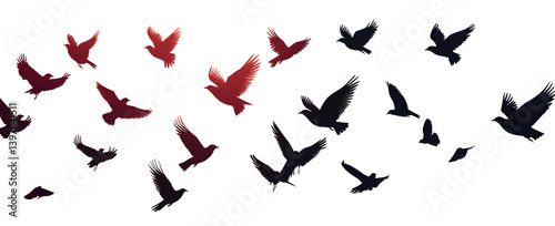 Flying birds silhouettes pattern wallpaper. PNG transparent. isolated bird flying. tattoo design. template for card, package, and wallpaper.