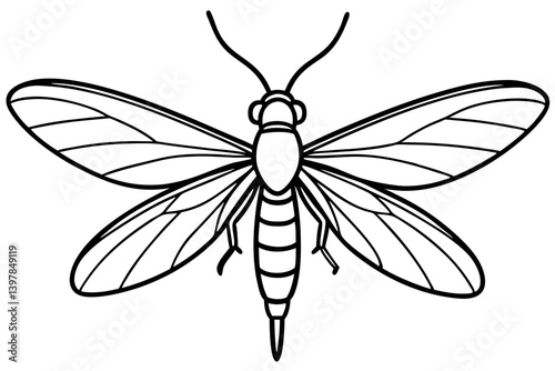 Mayfly Minimalist Line Art