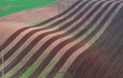 Aerial view of beautiful agricultural fields with green rows and natural patterns, Wettin-Lobejun, Sachsen-Anhalt, Germany.