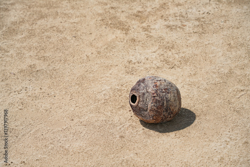 Obraz na płótnie Fallen coconut on an empty beach w salonie