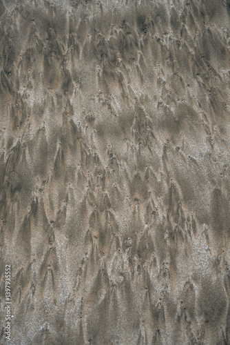 Obraz na płótnie Abstract background pattern of the sand on a tropical beach w salonie