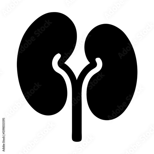 Solid Kidney Icon Silhouette Vector 