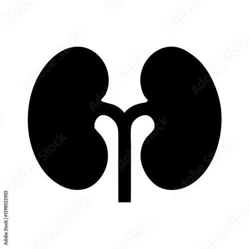 Solid Kidney Icon Silhouette Vector 