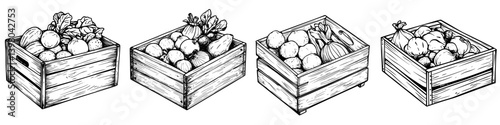 Vector hand drawn illustration of wooden crates filled with fresh vegetables showcasing various types of produce in neat arrangement