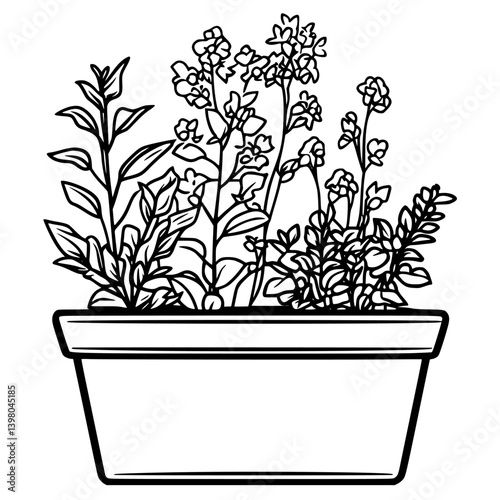 Vector hand draw of a garden planter filled with various herbs and flowers in a sunny outdoor setting