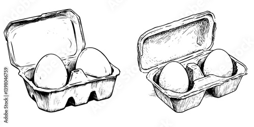 Vector hand-drawn illustration of two different egg cartons containing eggs, showcasing unique designs and shapes
