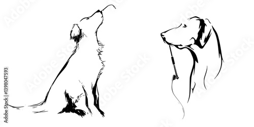 Vector hand draw of two dogs in different poses, one looking up and the other holding a leash, showcasing playful canine expressions