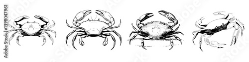 Detailed hand-drawn vector illustrations of various crab species showcasing their unique features and postures