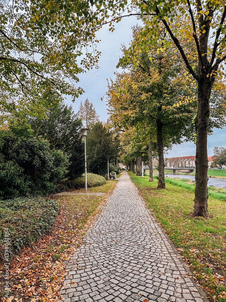 Obraz premium Path with trees and a bench is shown