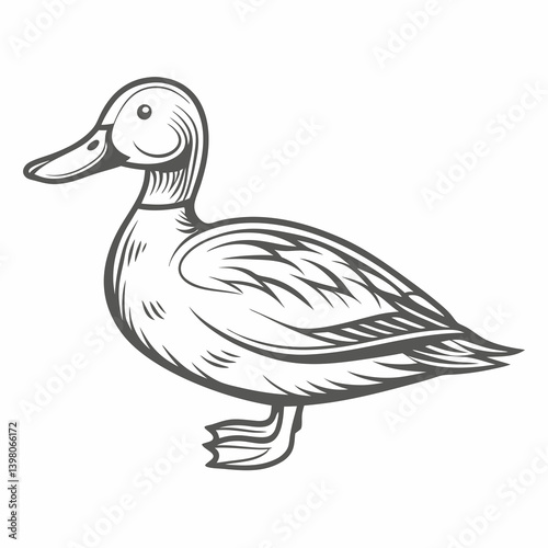 Elegant Pintail Duck Illustration, Line Art Style