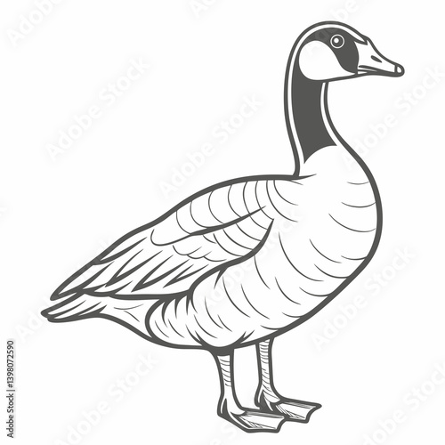 Canada Goose Illustration, Detailed Vector Drawing