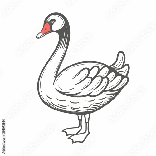Elegant Black Swan Illustration, Isolated on White