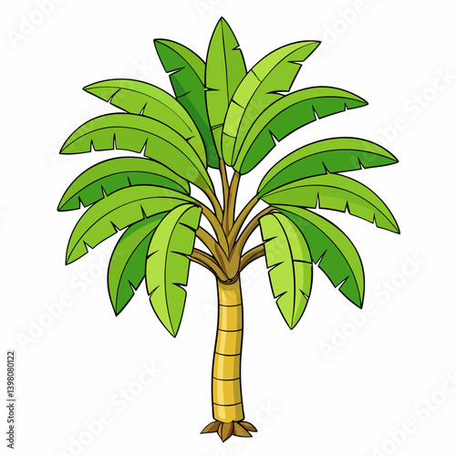 palm tree isolated on white