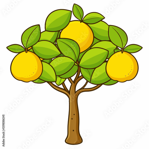 vector illustration of an orange tree