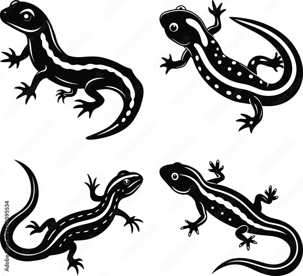Naklejka premium Salamander silhouette vector