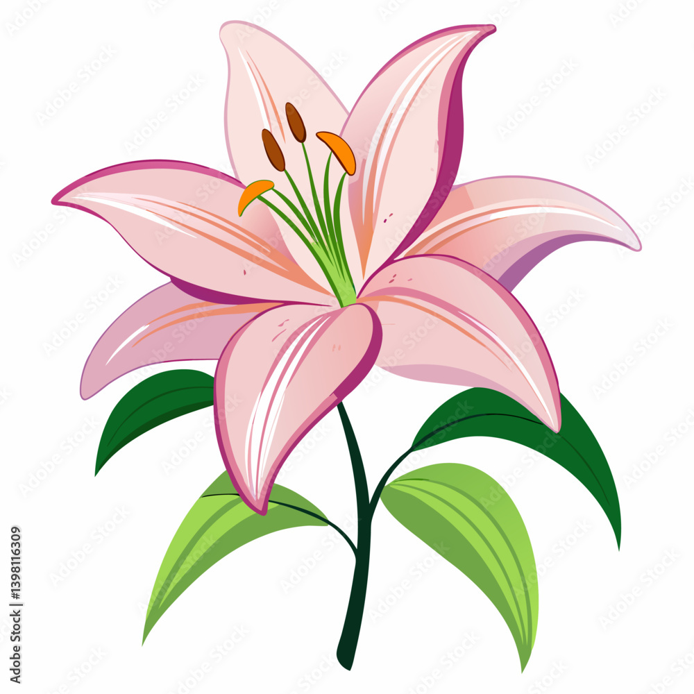 Naklejka premium lily isolated on white background