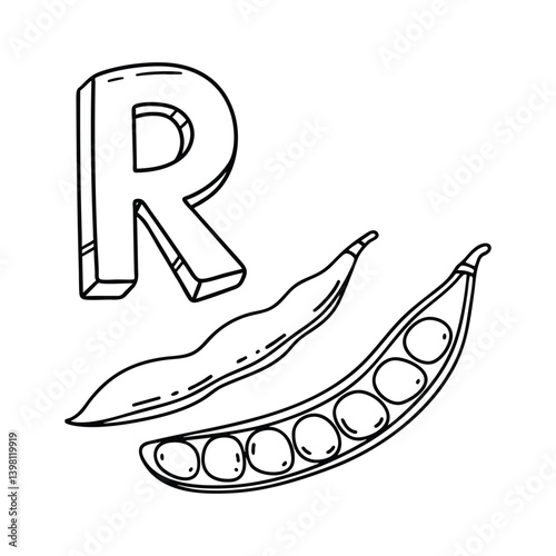 An Illustration of letter R stand for Runner bean photo