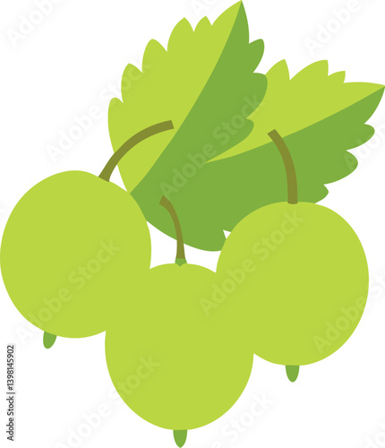 gooseberries---white-background