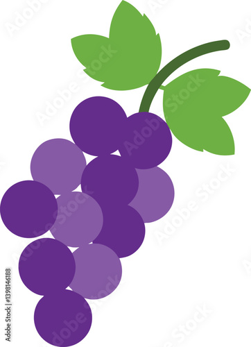 grapes-on-vine---white-background