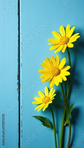 Yellow daisy flowers on blue rustic wooden background, minimalist lifestyle photography backdrop,  flowers, yellow