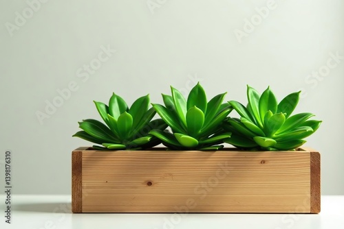 Wooden planter box filled with lush green plants, wooden,  foliage