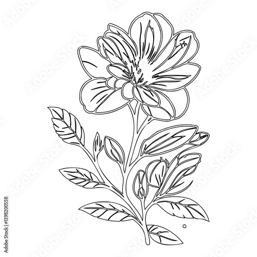 Elegant floral outline illustration featuring a blossoming flower and leaves