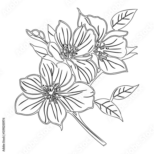 Elegant floral contour drawing, a delicate monochrome botanical illustration