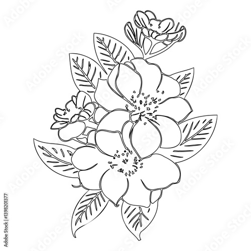 Delicate floral sketch featuring blooming dogwood blossoms, line art design