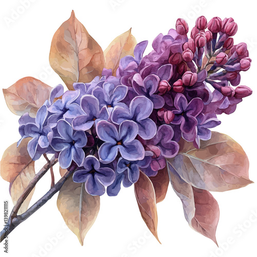 illustration of Lilac Branch, watercolor vector, isolated on a white background.
