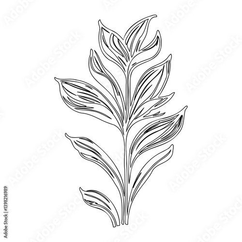 Elegant botanical line drawing of a leafy stem against a pristine backdrop