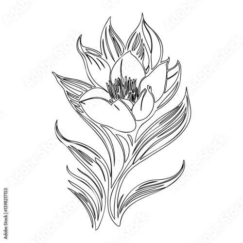 Elegant hand-drawn blossom illustration showcases floral grace and simplicity
