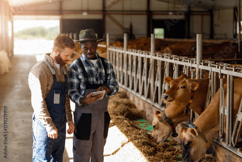 Two farm workers use tablet computer for control health of cow. Concept farmer lifestyle and industry cattle livestock