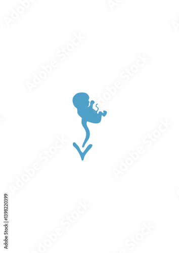 foetus bebe enceinte naissance
