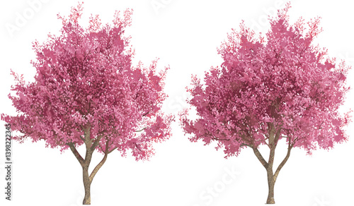 Pink blossoming trees set, vector isolated flowery grow, nature background, floral design, spring season, blooming flowers, natural landscape, beautiful pink tree blossoms