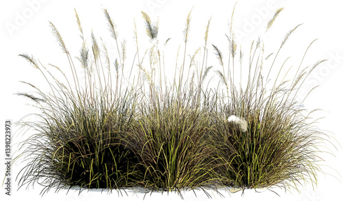 White feather, overgrown grass, vector landscaping, natural decor, garden scenery, spring plants, green lawn, nature composition, outdoor beauty, soft textures, relaxing environment