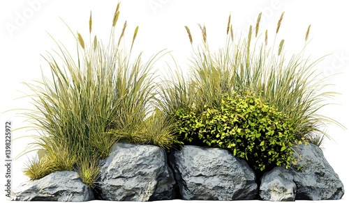 Vector clipart of long grass, Rocks and grass field, Nature landscape, Rural outdoor scenery, Grass and rock formations, Natural environment, Rocky field, Grass in nature