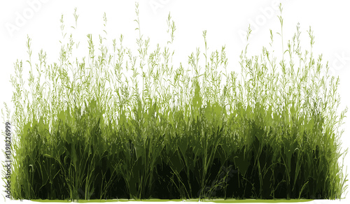 Horizontal vector meadow background, green grass row, cut grass field, lush meadow, summer field, nature design, grass landscape, vibrant green grass, countryside scenery