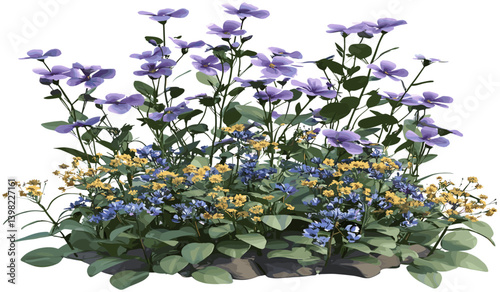 Springtime wildflower ornamental blooms vector isolate, decorative flowers, wildflower vector design, isolated floral art, spring flowers, wildflower artwork, flower blooms illustration