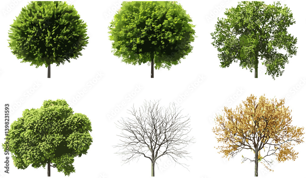 Fototapeta premium Top view vector evergreen and dried trees cutout backgrounds, png format, seasonal nature, green foliage, forest scene, trees in winter, brown foliage, natural design, landscape elements