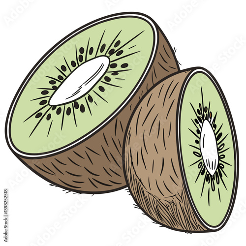 illustration of kiwi fruit