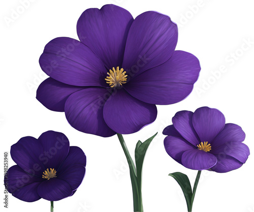 Captivating Violet Blooms, A Botanical Illustration Showcasing the Delicate Beauty of Three Flowers in Stunning Detail and Vibrant Color Palettes